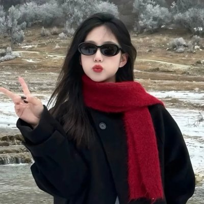 美国谍梦第五季